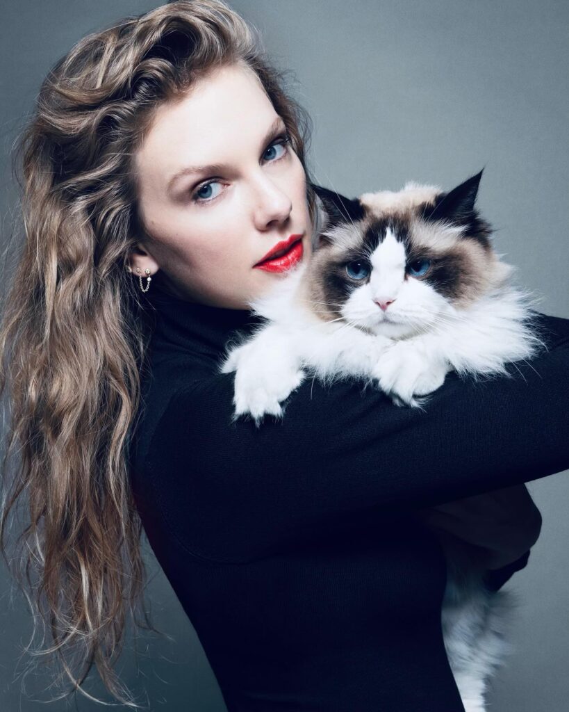  Taylor Swift poses with a fluffy cat, showcasing her beauty and connection to her pet.